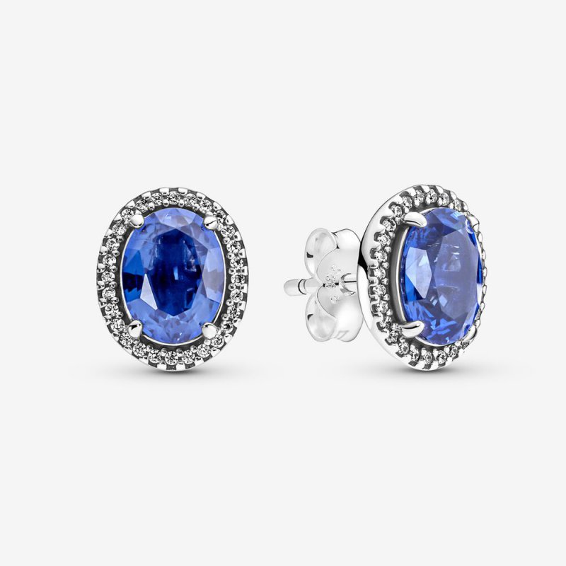 Sparkling Statement Halo Stud Earrings 290040C01